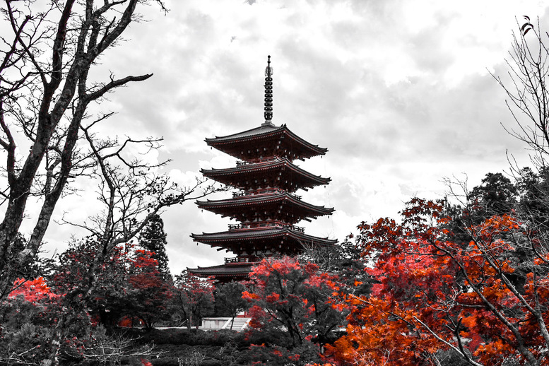 天橋立の歴史と日本文化の関わり_和歌・俳句