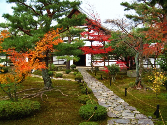 京都・嵐山のおすすめ観光スポット_鹿王院の観光地情報