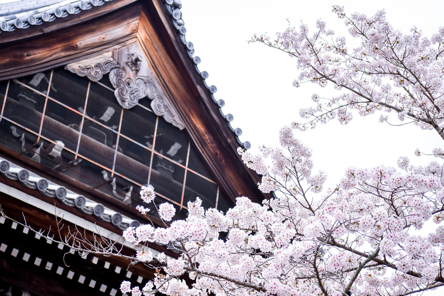 京都観光_南禅寺_歴史_室町時代の発展