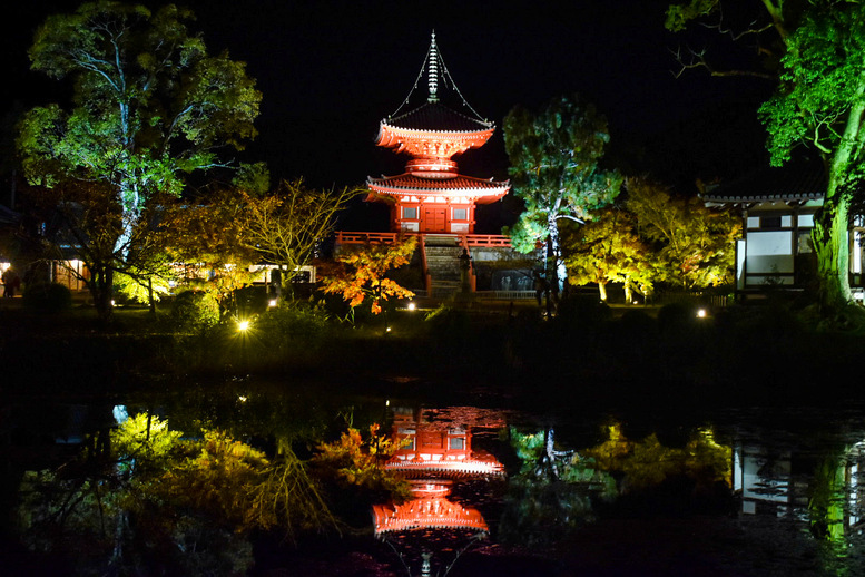 京都・嵐山のおすすめ観光スポット_大覚寺の観光地情報_ライトアップ