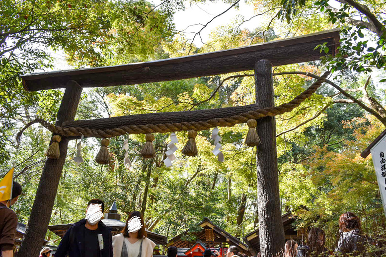 京都・嵐山のおすすめ観光スポット_野宮神社の観光地情報