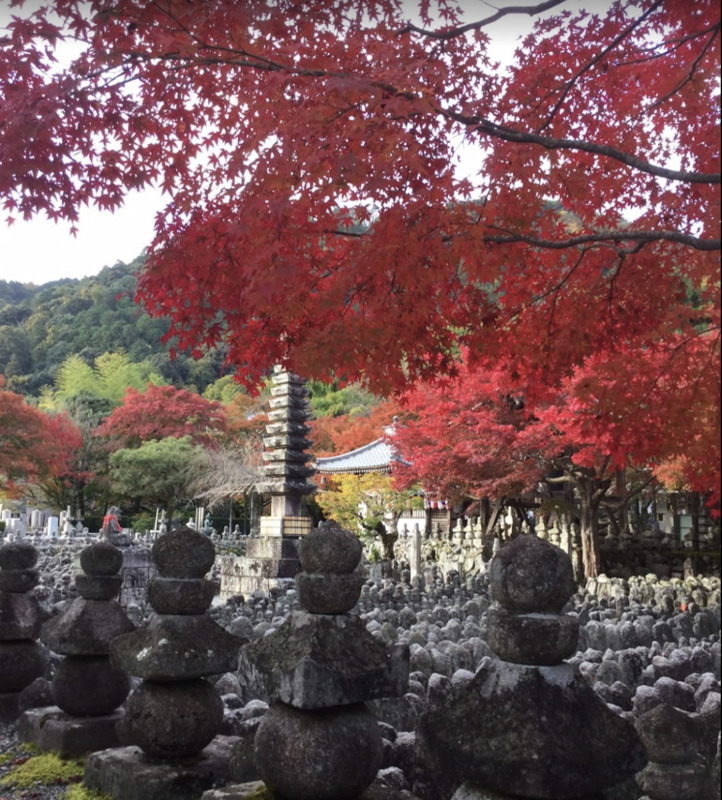 京都・嵐山のおすすめ観光スポット_あだし野念仏寺の観光地情報_紅葉