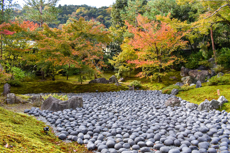 京都・嵐山のおすすめ観光スポット_宝厳院の観光地情報_秋の紅葉