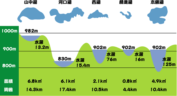 富士五湖ランキング-一番きれいな湖-一番大きい湖_画像データ