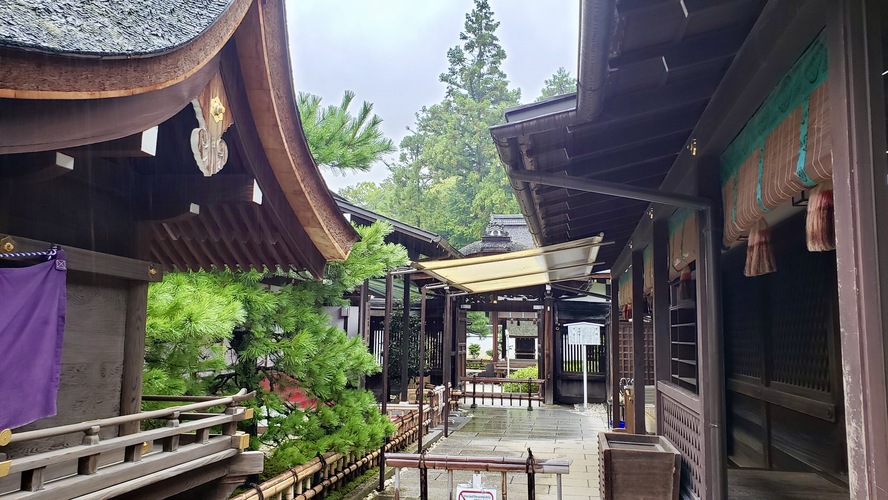 京都観光ご利益だらけのパワースポット_下鴨神社の見どころ_本殿・祭神・ご利益
