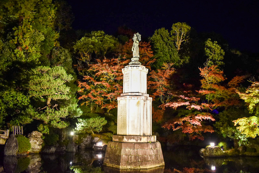 京都観光_祇園・八坂エリアの見どころ_知恩院_友禅苑のライトアップ