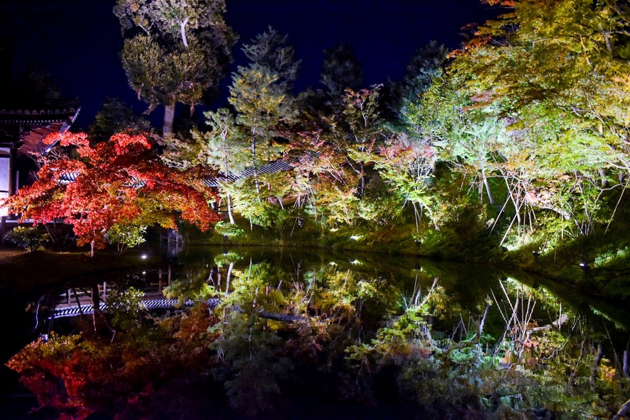 京都観光_祇園・八坂エリアの見どころ_秋の高台寺_夜のライトアップ