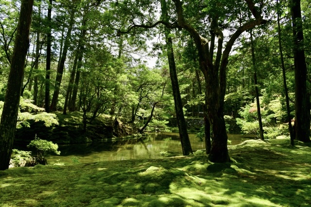 京都・嵐山のおすすめ観光スポット_西芳寺（苔寺）の観光地情報