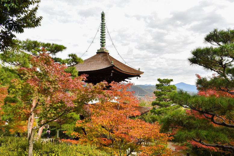 京都・嵐山のおすすめ観光スポット_常寂光寺の観光地情報_多宝塔と紅葉