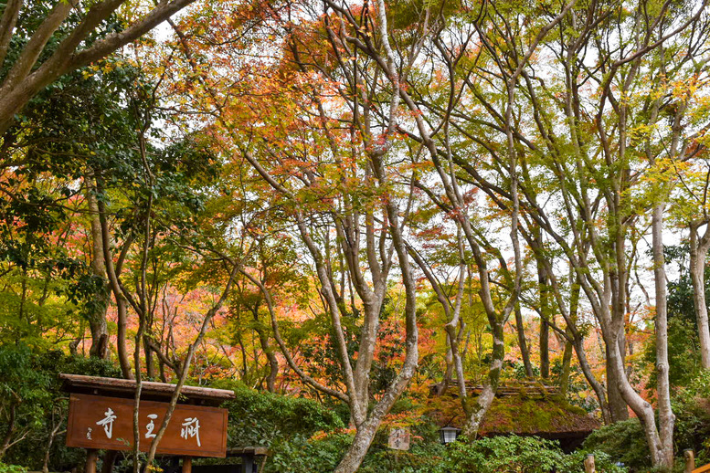 京都・嵐山のおすすめ観光スポット_祇王寺の観光地情報