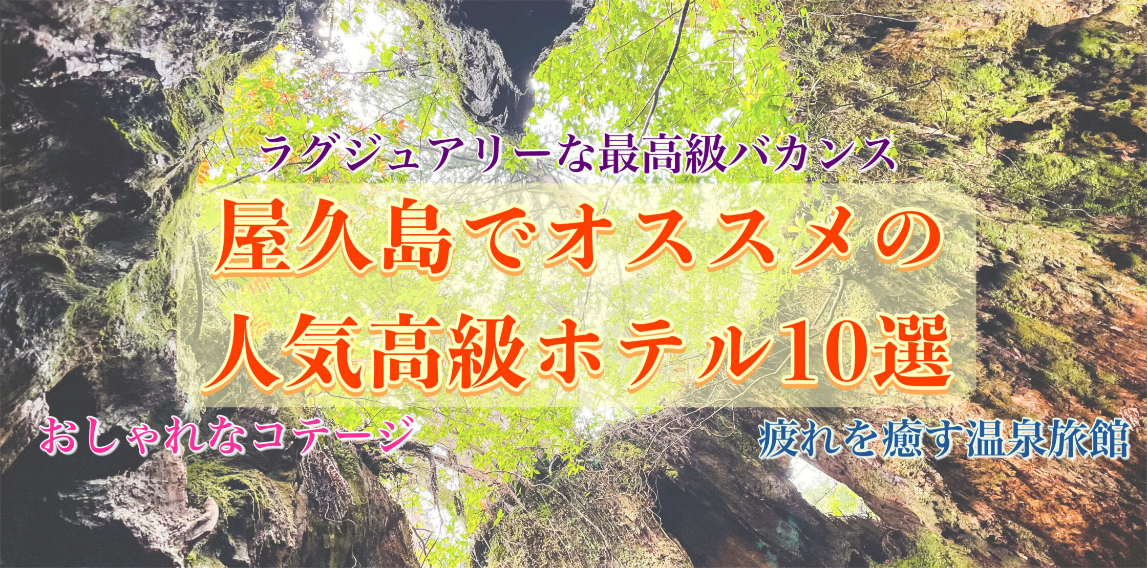 【屋久島】オススメ高級ホテル10選｜おしゃれで人気の旅館・コテージも紹介