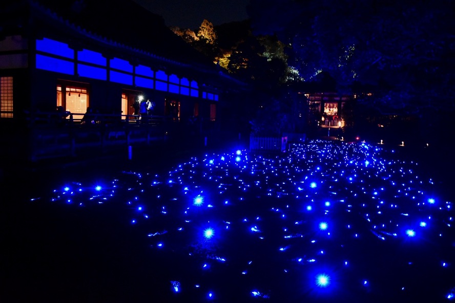 京都観光_祇園・八坂エリアの見どころ_青蓮院門跡の青のライトアップ