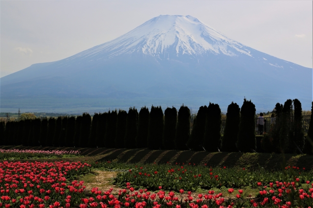 山中湖へ日帰り旅行-おすすめの見どころと観光マップ_花の都公園-アクセス