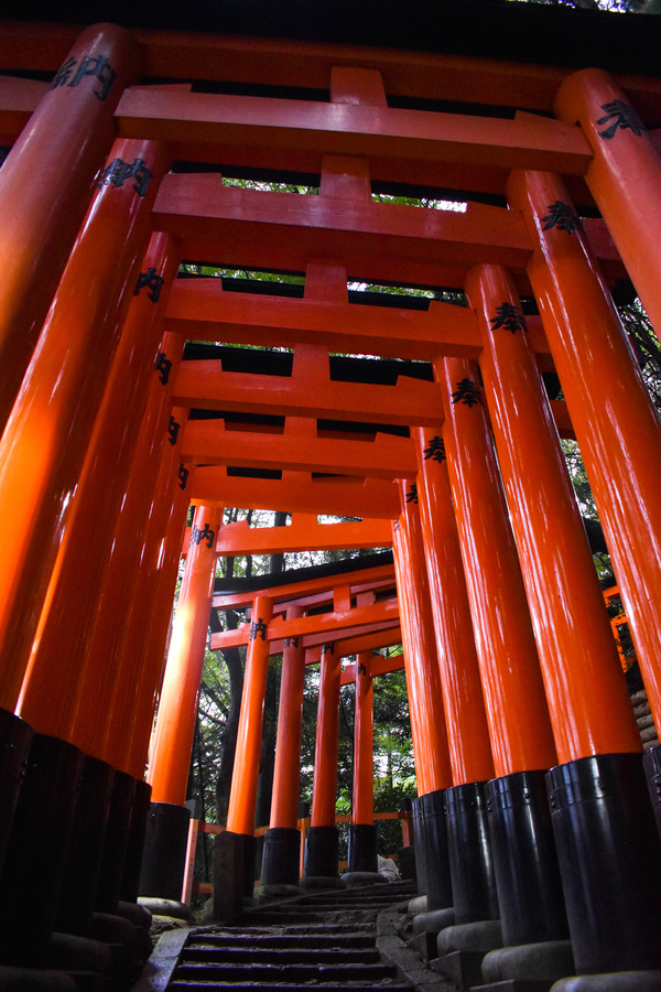 伏見稲荷大社を京都ひとり旅_見どころ・ご利益・祭神_お山めぐりと千本鳥居