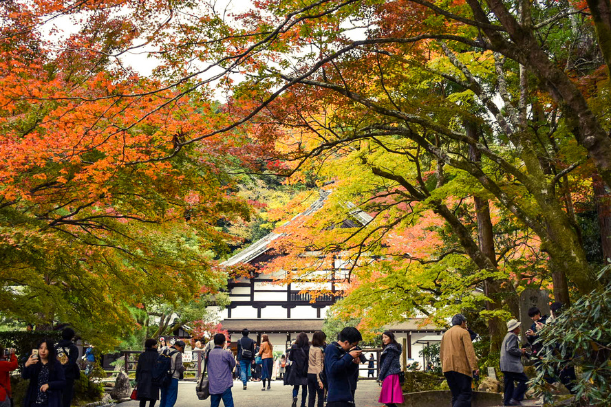 京都観光_南禅寺の見どころ_方丈