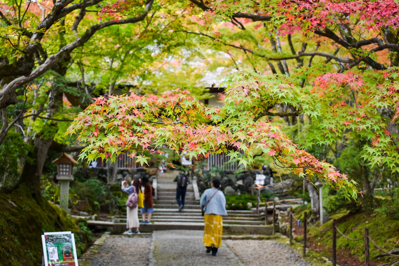 京都・嵐山のおすすめ観光スポット_常寂光寺の観光地情報_秋の紅葉