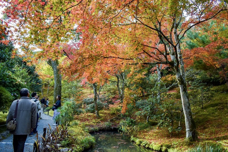 京都・嵐山のおすすめ観光スポット_天龍寺の観光地情報_秋の紅葉
