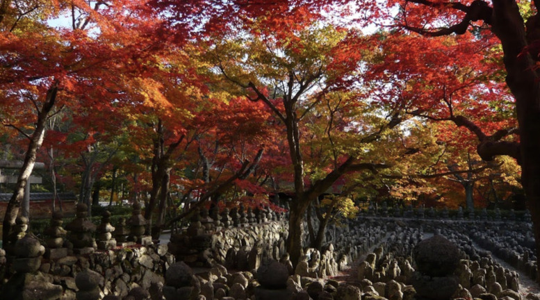 京都・嵐山のおすすめ観光スポット_あだし野念仏寺