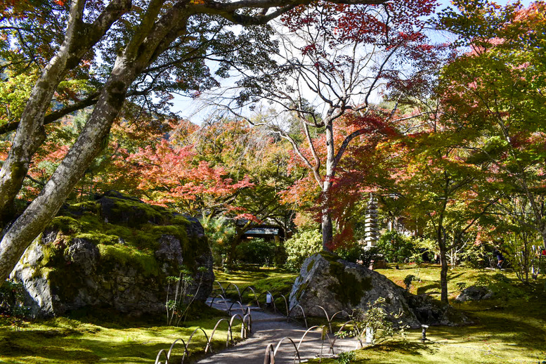 京都・嵐山のおすすめ観光スポット_宝厳院の観光地情報_秋の紅葉
