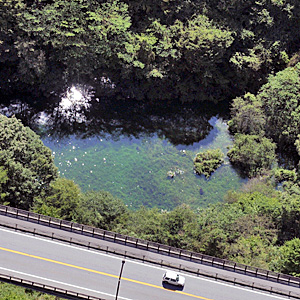 富士五湖ランキングと雑学_幻の湖・富士六湖・赤池の風景と橋