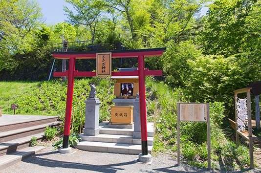 河口湖観光-富士山ロープウェイ_かちかち山の見どころ-うさぎ神社