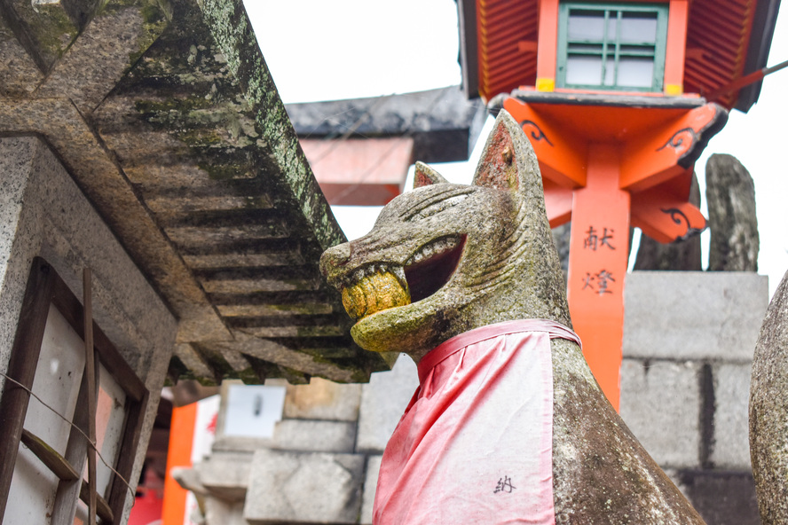 伏見稲荷大社の見どころ・ご利益・祭神_白狐の由来