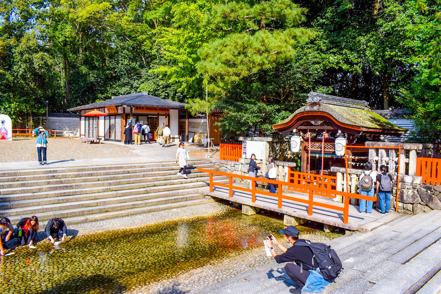 京都観光ご利益だらけのパワースポット_下鴨神社の見どころ_御手洗池と水占い