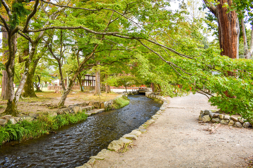 京都観光-最古の最強パワースポット！上賀茂神社の見どころ-八咫烏おみくじ_渉渓園とならの小川
