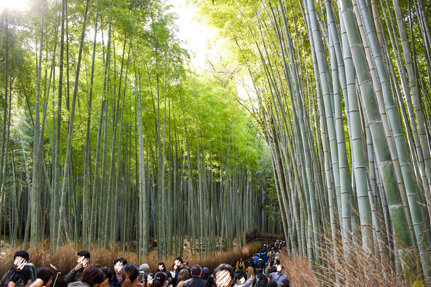 竹林の小径の歴史_京都・嵐山の観光スポット
