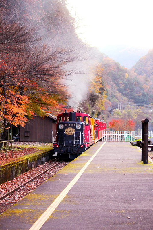 京都・嵐山のおすすめ観光スポット_嵯峨野トロッコ列車の観光地情報