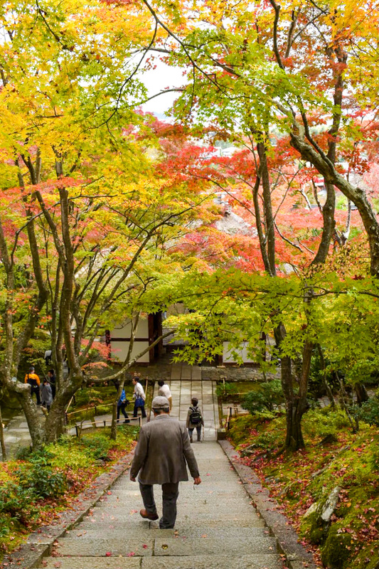 京都・嵐山のおすすめ観光スポット_常寂光寺の観光地情報_秋の紅葉