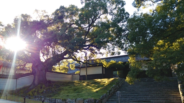 京都観光_祇園・八坂エリアの見どころ_青蓮院門跡