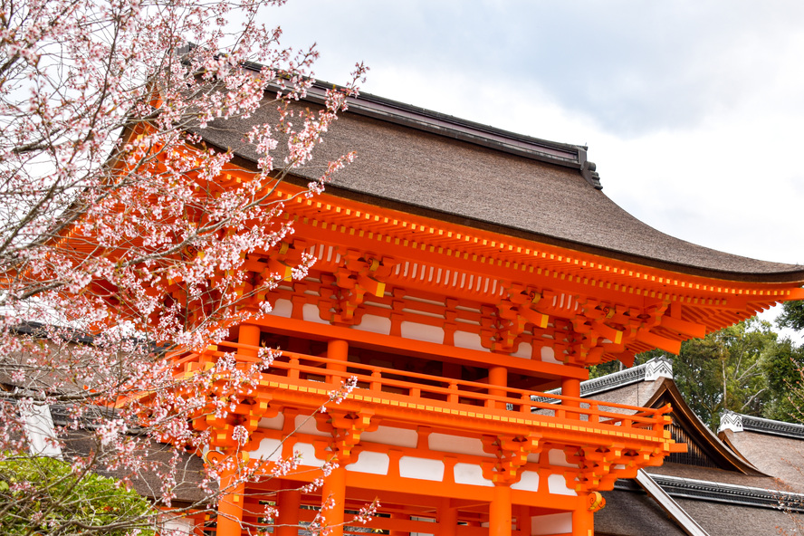 京都観光-最古の最強パワースポット！上賀茂神社の見どころと歴史-式年遷宮と春の桜の楼門