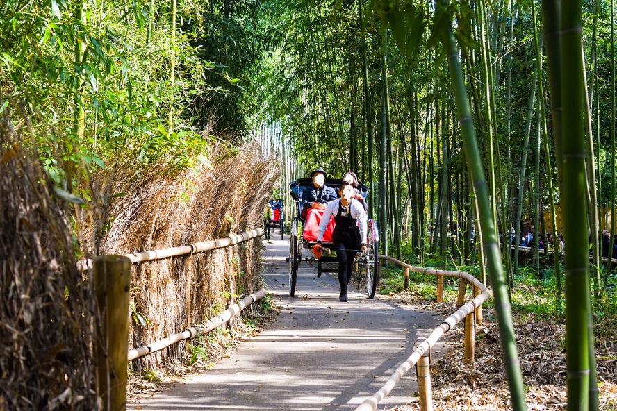 竹林の小径の見どころ_京都・嵐山の観光名所-人力車