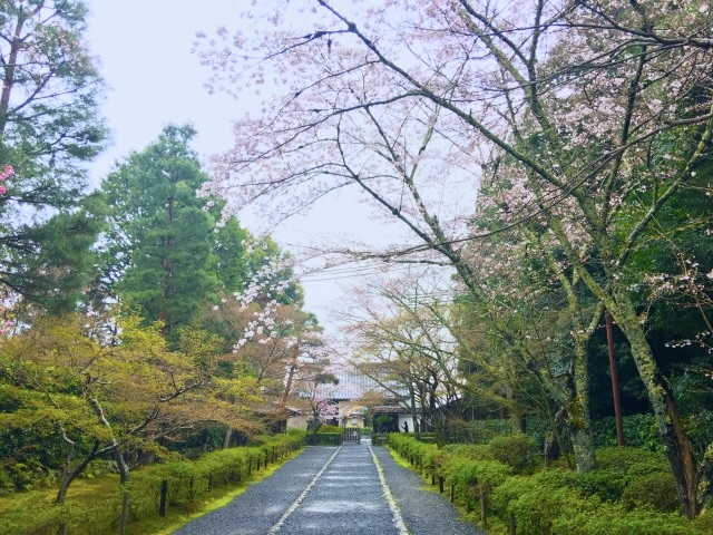 京都・嵐山のおすすめ観光スポット_二尊院の観光地情報