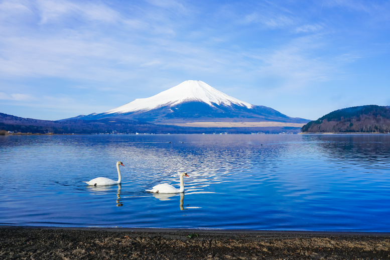 山中湖へ日帰り旅行-おすすめの見どころと観光マップ_平野の浜からの富士山と白鳥