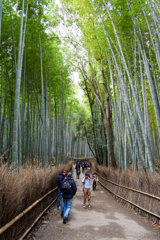 京都・嵐山のおすすめ観光スポット_竹林の小径の観光地情報