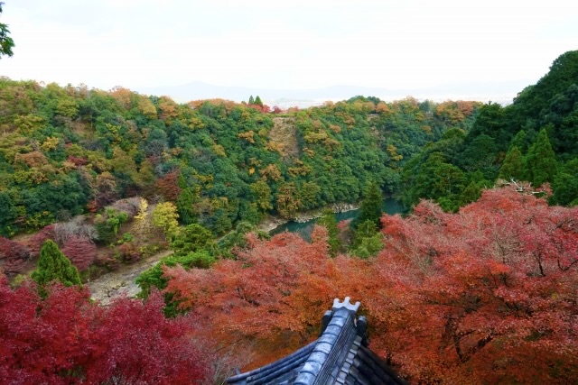 京都・嵐山のおすすめ観光スポット_大悲閣千光寺の観光地情報_秋の紅葉