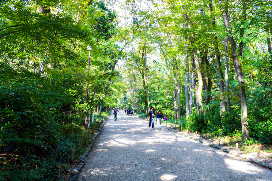 京都観光ご利益だらけのパワースポット_下鴨神社の見どころ_糺の森