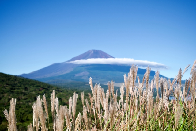 山中湖へ日帰り旅行-おすすめの見どころと観光マップ_三国峠と鉄砲木ノ頭-すすきと富士山