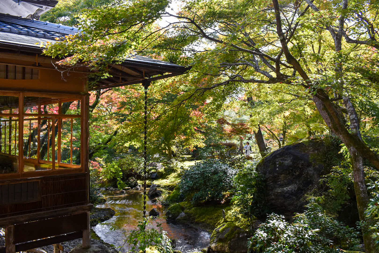 京都・嵐山のおすすめ観光スポット_宝厳院の観光地情報_秋の紅葉