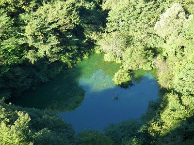 富士五湖ランキングと雑学_幻の湖・富士六湖・赤池の風景