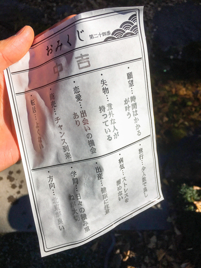 秩父でおすすめのスピリチュアルなパワースポット_秩父神社の見どころ-水占い（水おみくじ）