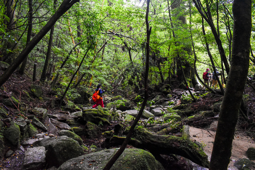 屋久島_縄文杉トレッキング_必須の持ち物