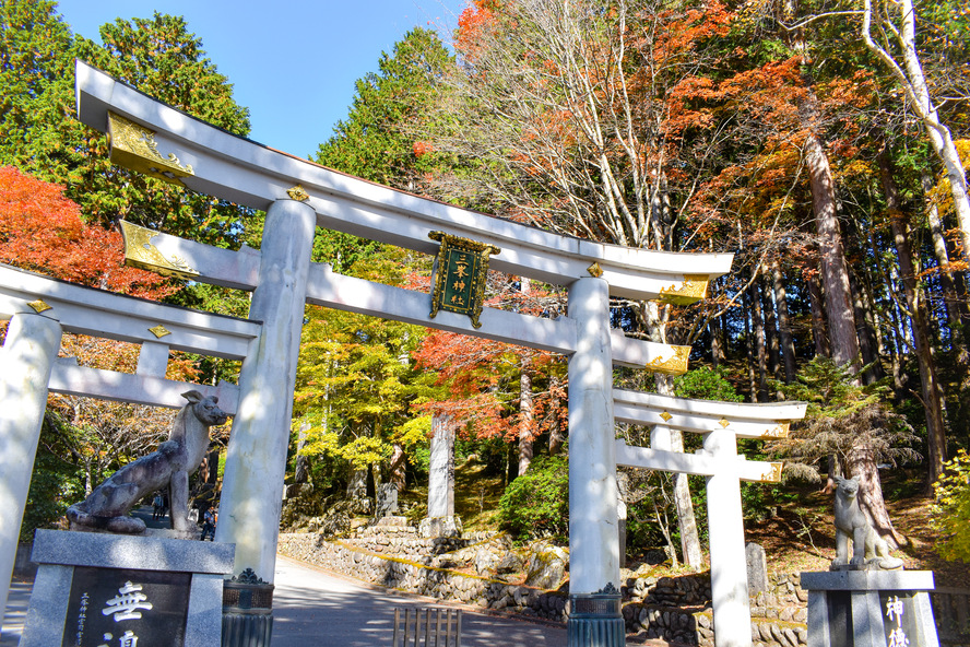 三峯神社の白の三ツ鳥居_人を選ぶ？人生が変わる？厳しい？呼ばれる？秩父のパワースポット