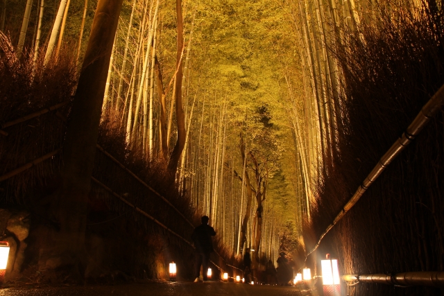 京都観光-嵐山・渡月橋の見どころと歴史_ライトアップ-期間・時間-竹林の小径