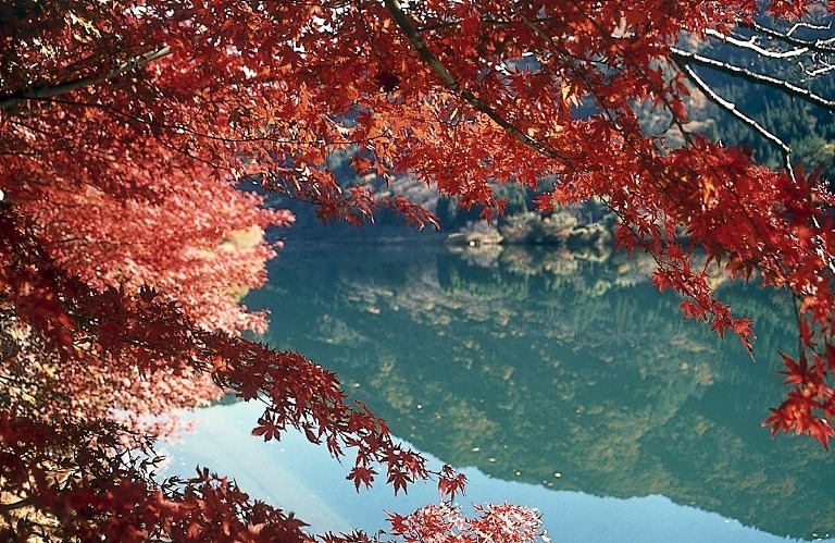 下呂温泉のおすすめ観光スポット_中山七里の紅葉