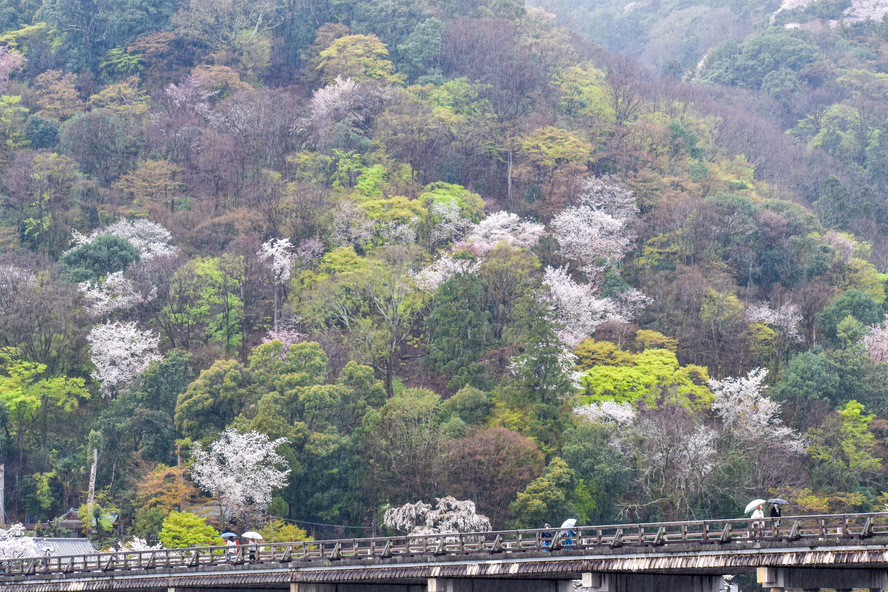 京都観光-嵐山・渡月橋の見どころと歴史_あの世と繋がっている-振り向いてはいけない