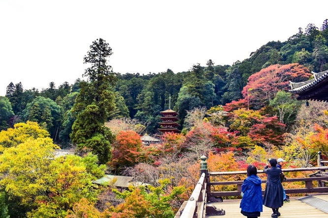 FGO-under the same skyの聖地巡礼-関西編_奈良・長谷寺