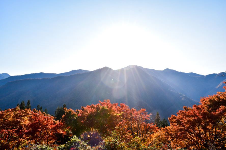 人を選ぶ？秩父のパワースポット_三峯神社の歴史-名前の由来とヤマトタケルの伝説